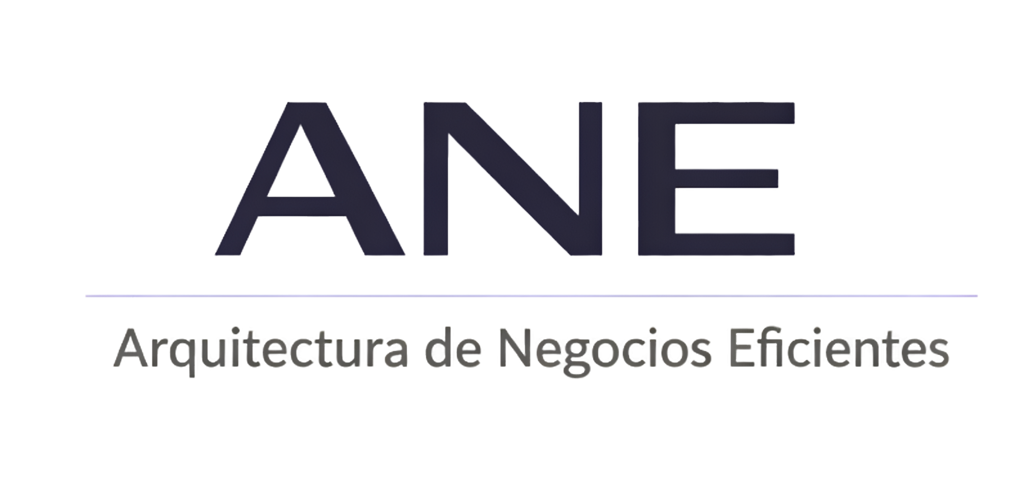 ANE™ Arquitectura de Negocios Eficientes